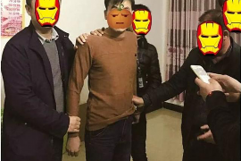 诏安融资清欠服务